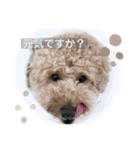 れおのんくのスタンプ3（個別スタンプ：4）
