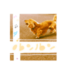dog もか’s time（個別スタンプ：3）