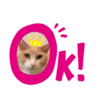 あいちゅらstamp（個別スタンプ：7）