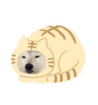 柴犬 もこむぎ2（個別スタンプ：4）