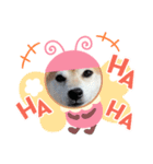 柴犬 もこむぎ2（個別スタンプ：5）