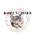 ルアナな日々（個別スタンプ：6）