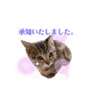 ルアナな日々（個別スタンプ：12）