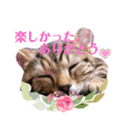 ルアナな日々（個別スタンプ：20）