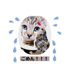 ルアナな日々（個別スタンプ：24）