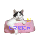 pianoクン（個別スタンプ：2）