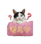 pianoクン（個別スタンプ：3）