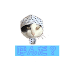 pianoクン（個別スタンプ：4）