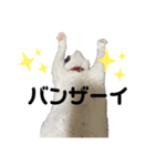 pianoクン（個別スタンプ：5）