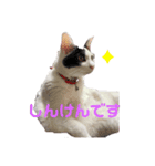 pianoクン（個別スタンプ：7）