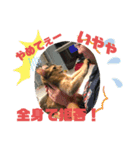 kiki mix（個別スタンプ：3）