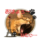 kiki mix（個別スタンプ：4）