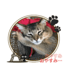 kiki mix（個別スタンプ：8）