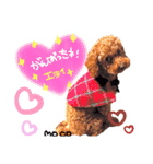 モコスタンプ(＾ω＾U)（個別スタンプ：9）