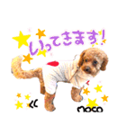 モコスタンプ(＾ω＾U)（個別スタンプ：13）