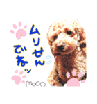 モコスタンプ(＾ω＾U)（個別スタンプ：14）