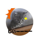 にゃんにゃーん。（個別スタンプ：18）