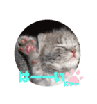 にゃんにゃーん。（個別スタンプ：19）