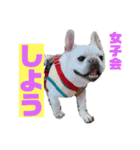 フレブル福たん 中高年の為の文字デカver（個別スタンプ：2）