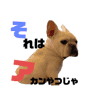 フレブル福たん 中高年の為の文字デカver（個別スタンプ：11）