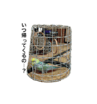 pinoっていうの（個別スタンプ：17）