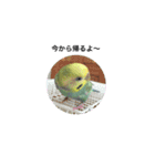 pinoっていうの（個別スタンプ：18）