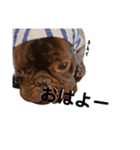 フレブル虎徹の日常（個別スタンプ：5）