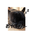 フレブル虎徹の日常（個別スタンプ：6）