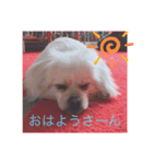 まる子の日常 2✨（個別スタンプ：7）