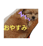 モコピー（個別スタンプ：10）