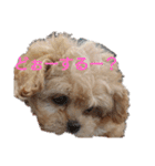 モコピー（個別スタンプ：11）