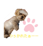 モコピー（個別スタンプ：12）