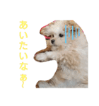 モコピー（個別スタンプ：17）