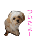 モコピー（個別スタンプ：18）