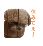 モコピー（個別スタンプ：22）