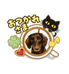 ダックスベルの日常スタンプ1（個別スタンプ：5）