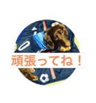 ダックスベルの日常スタンプ1（個別スタンプ：32）