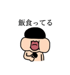 コビキ図鑑（個別スタンプ：5）
