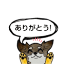 ちわわのちーさん（個別スタンプ：1）