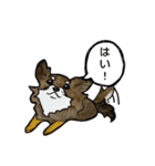 ちわわのちーさん（個別スタンプ：4）
