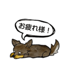 ちわわのちーさん（個別スタンプ：6）