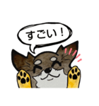 ちわわのちーさん（個別スタンプ：14）