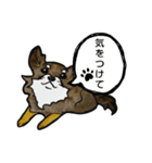 ちわわのちーさん（個別スタンプ：15）