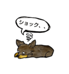 ちわわのちーさん（個別スタンプ：18）