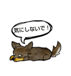 ちわわのちーさん（個別スタンプ：21）