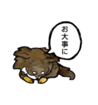 ちわわのちーさん（個別スタンプ：22）