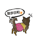 ちわわのちーさん（個別スタンプ：23）