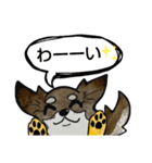 ちわわのちーさん（個別スタンプ：25）