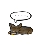 ちわわのちーさん（個別スタンプ：26）