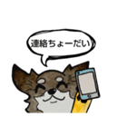ちわわのちーさん（個別スタンプ：28）